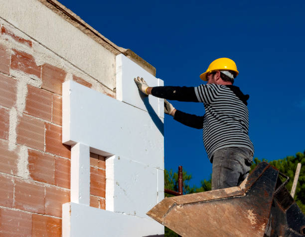 Best Cellulose Insulation in Woodville, FL