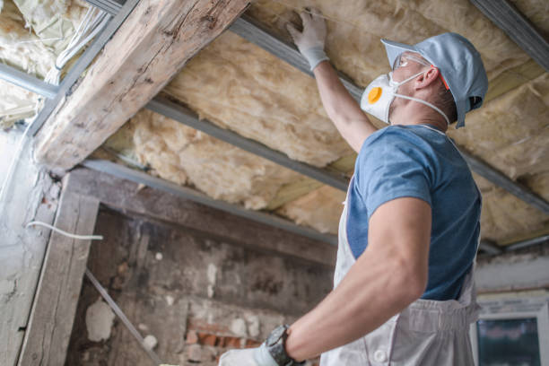 Best Specialized Insulation Services in Woodville, FL