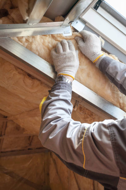 Best Insulation Maintenance and Repair in Woodville, FL