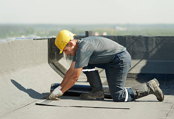 Best Geographic-Specific Insulation Services in Woodville, FL